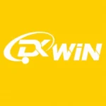 dkwin